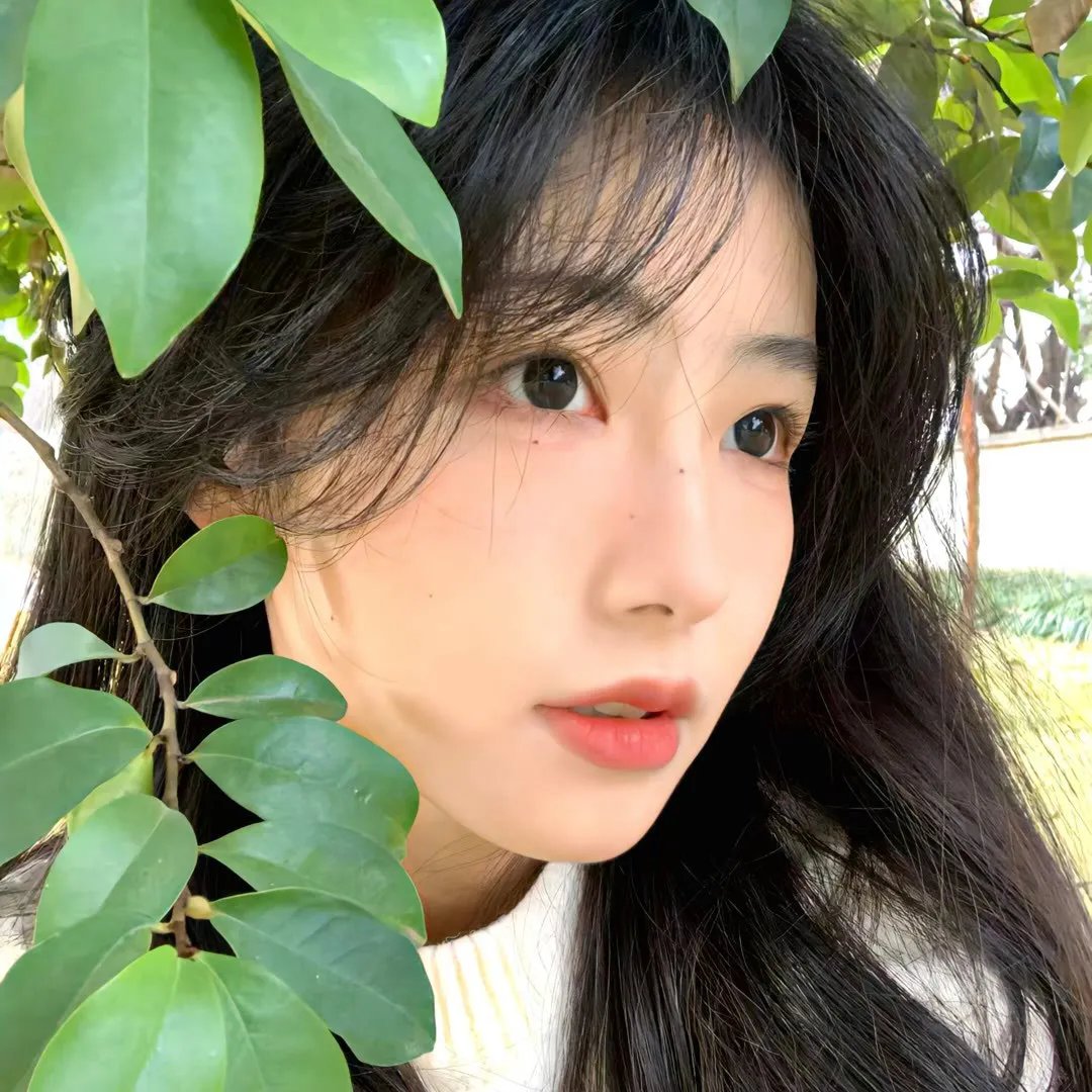 不留痕迹2018